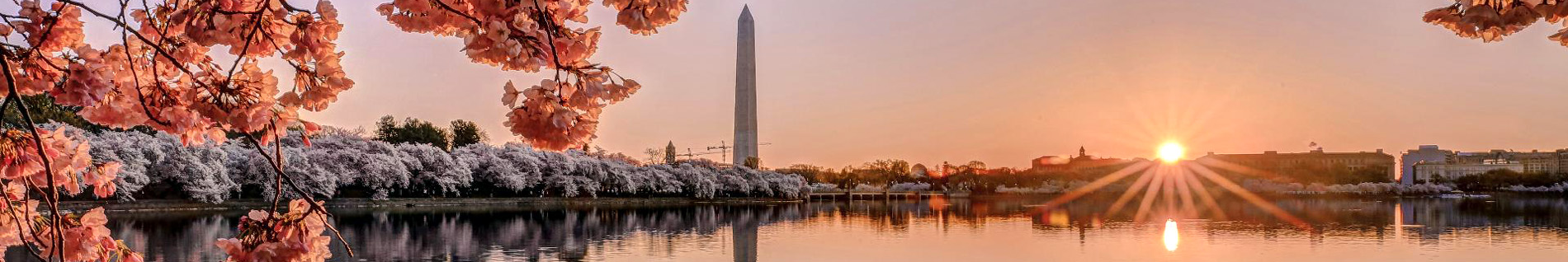 washington dc limousine service